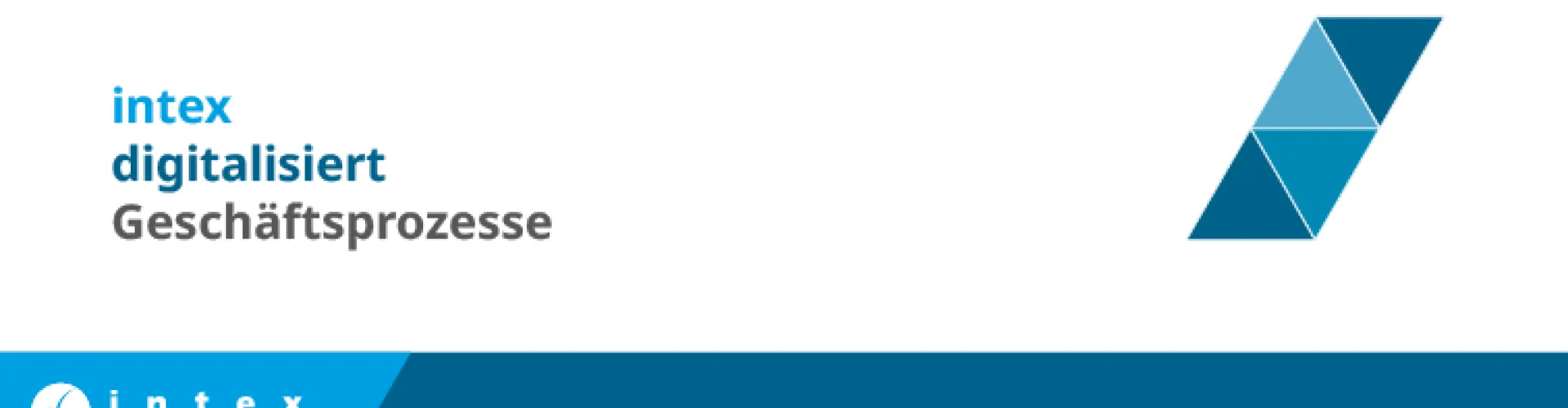 intex Informations-Systeme GmbH cover